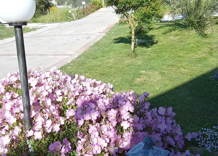 Alojamento de Acomodação e Pequeno-almoço Stella Del Cilento Vista Golfo *